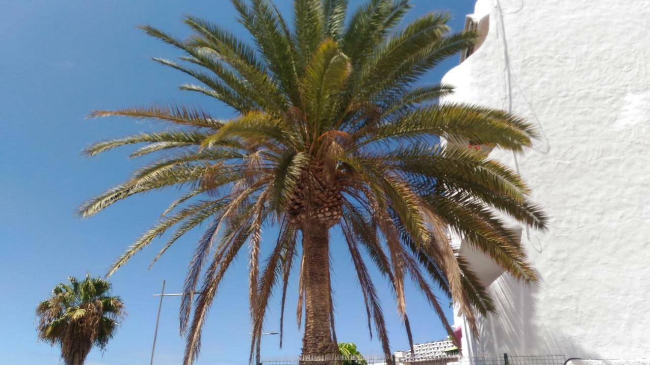 Sweet House Puerto Rico (Gran Canaria)