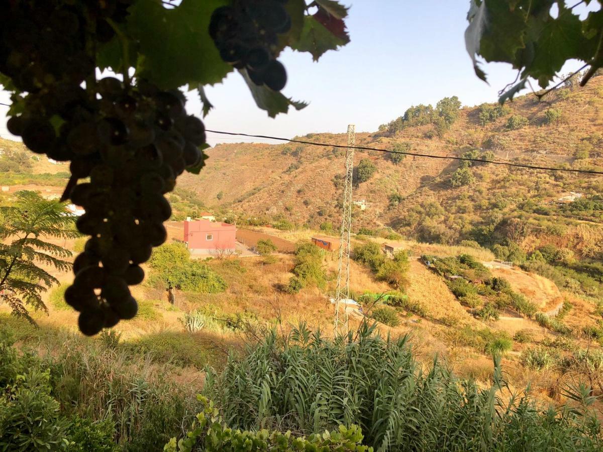De Tío Félix Casa di campagna Vega de San Mateo