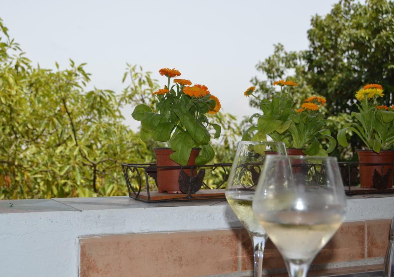 Hacienda Orange Garden * Firgas