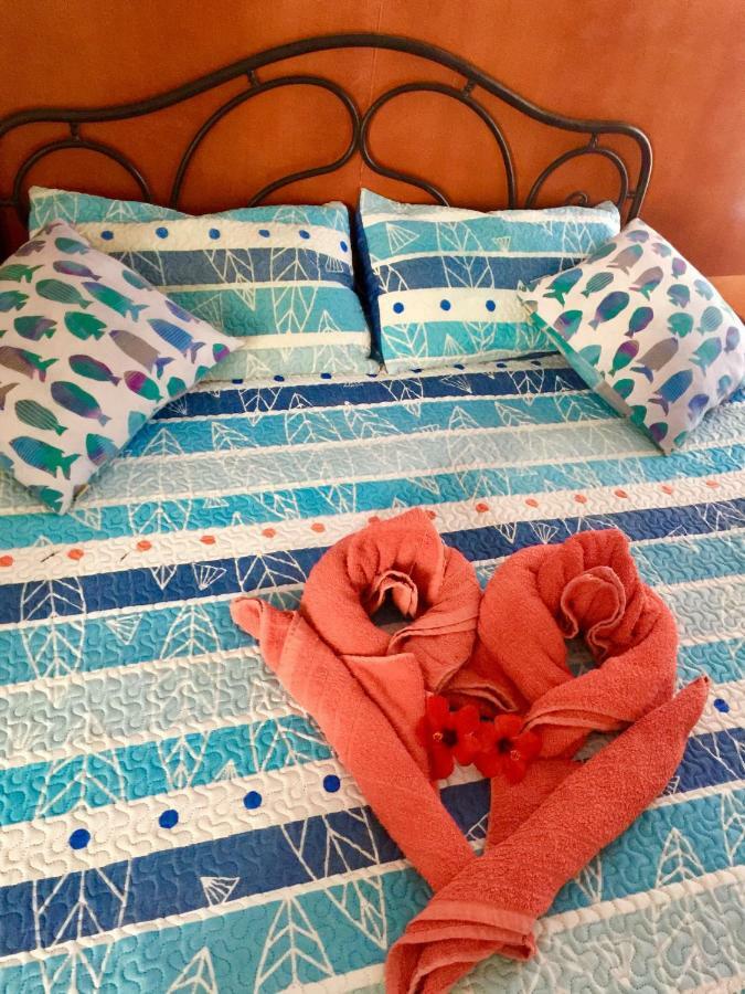 Sun Dream Holiday home
