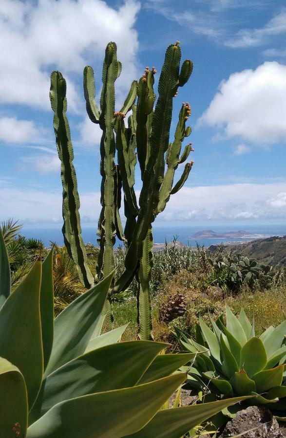 *****finca Bella Vista Appartamento *