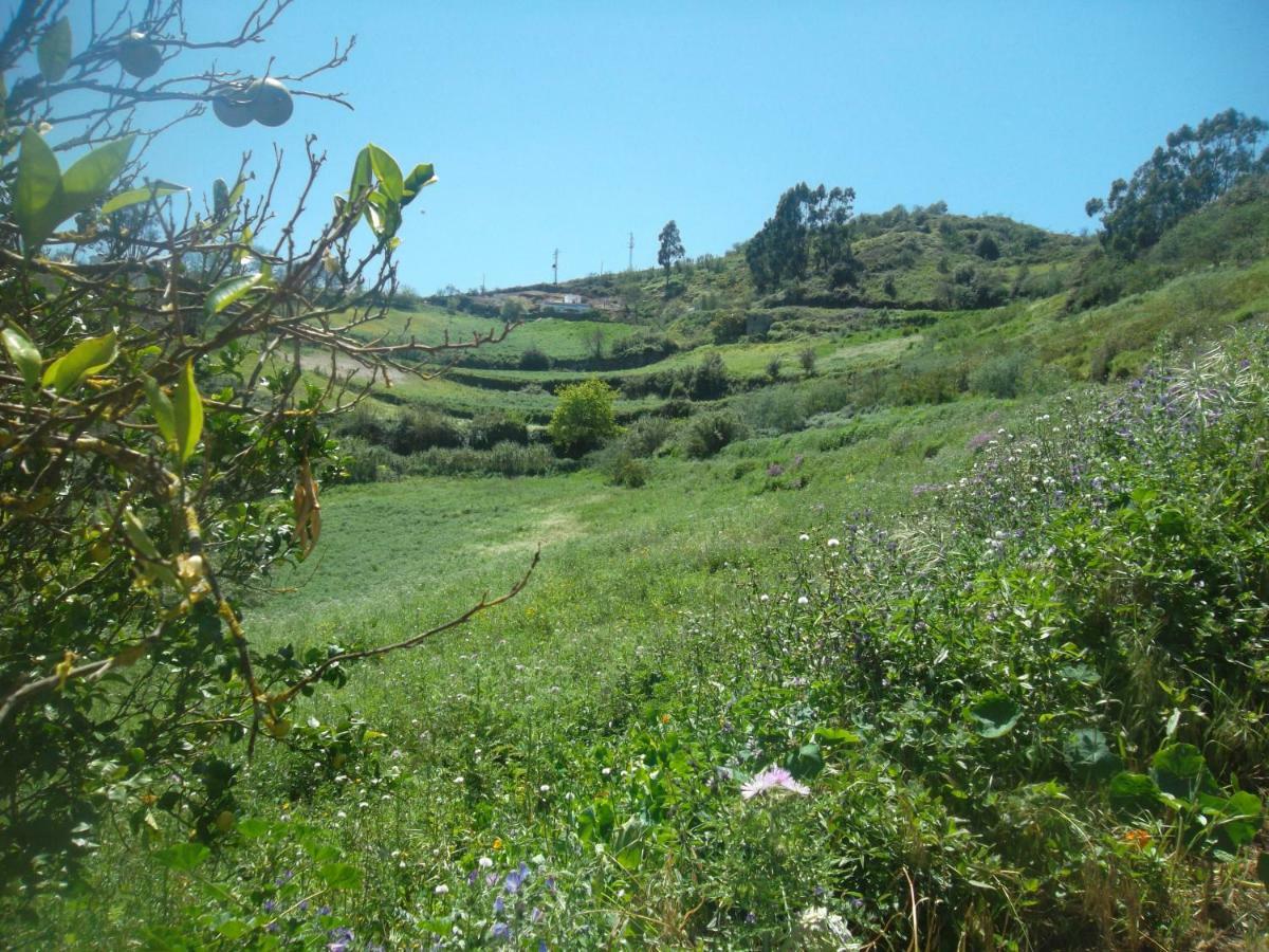 Сasa de vacaciones Naturacanaria - Flor De Mundo *