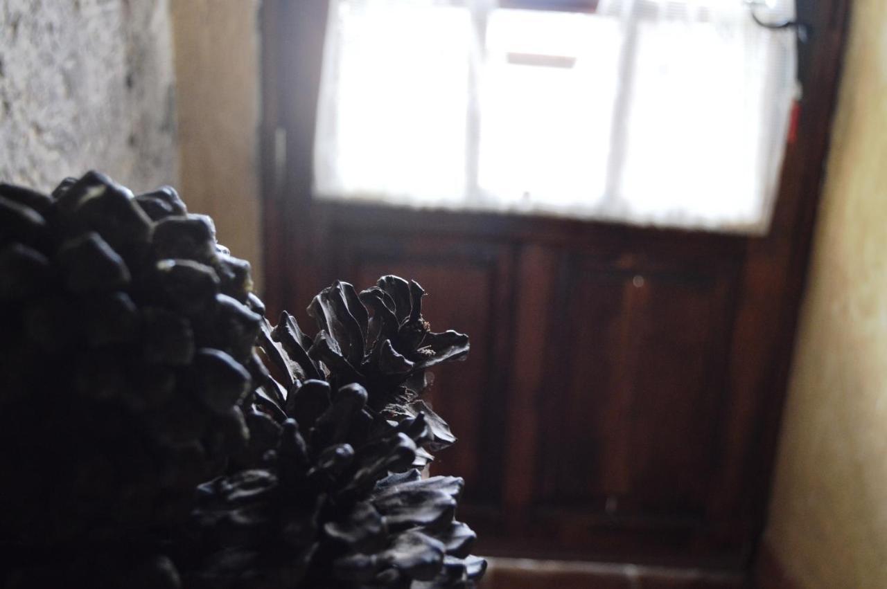- Laendliches Haus, Pepita La De Flores * Tejeda (Gran Canaria)