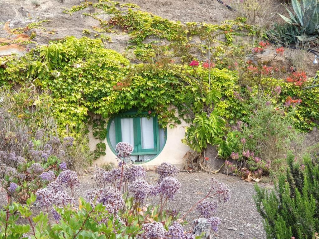 La Cueva Del Gato Сasa de vacaciones