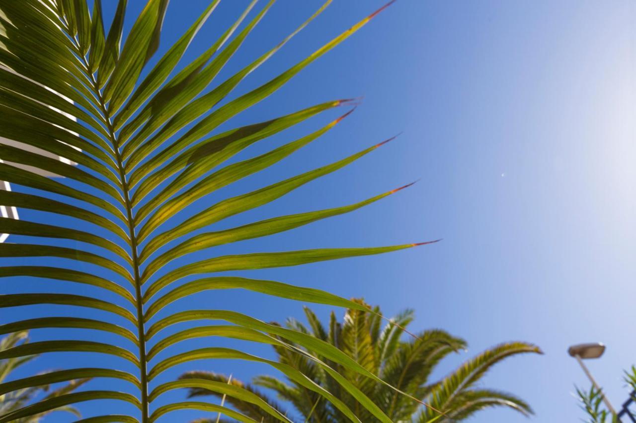 Jumilla Vista Mar 23 * Playa del Ingles (Gran Canaria)