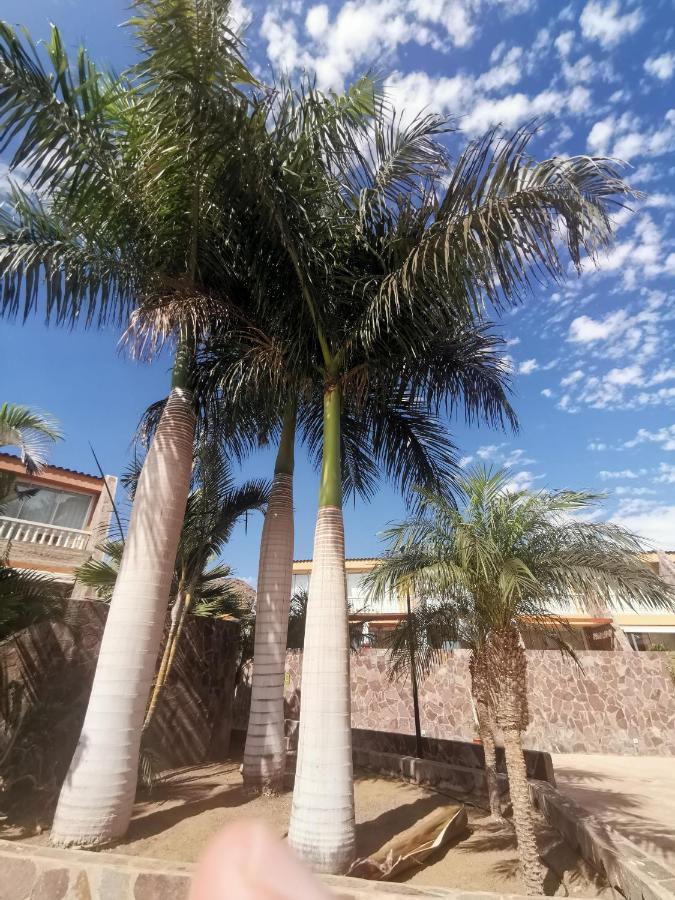 Villa Healthy Mogán