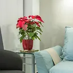 Apartamento Soraya