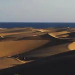 Beach Flower