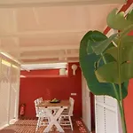 Los albaricoques