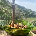 Casa Juana