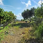 Casa Mango