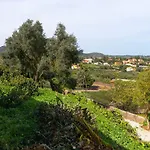 Live Finca el Gamonal Bajo