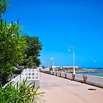 La Paloma