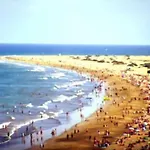La Palmera 311