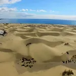 Apartamento Reformado Cerca De La Playa Y El Yumbo