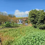 La Lavanda