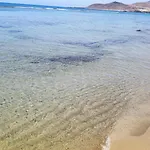 Mirlo Canteras