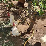 Finca El Cercadillo