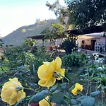 Finca Los Arcos Del Laurel
