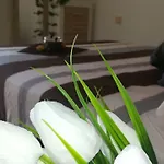 Beautiful Duplex With Jacuzzi
