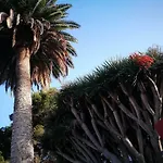 La Casita De Bodegas Volcan