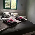 Small House Of The Sea