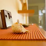 Bungalow Gran Canaria