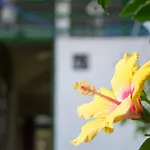 Bungalow Gran Canaria