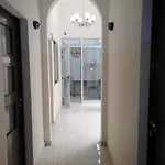 Guest House San Roque