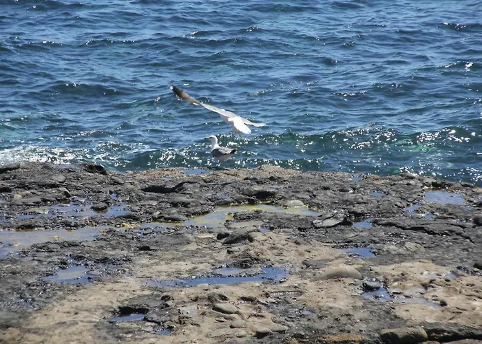 Pozo Gaviota