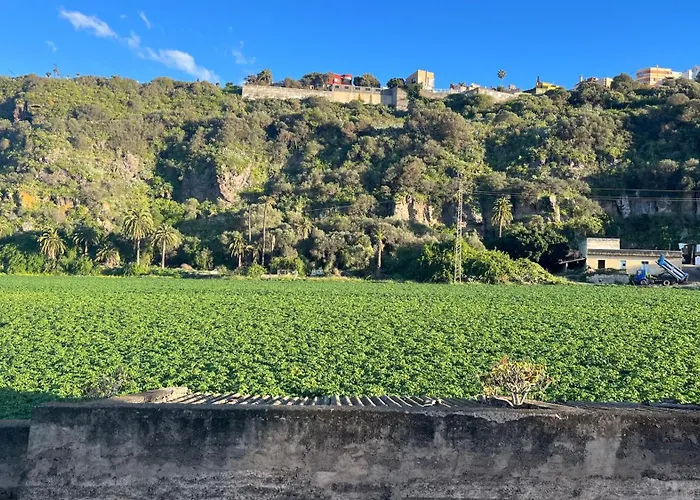 La Calzada View