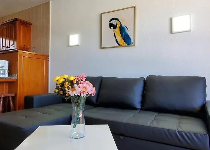 Las Camelias Apartments Q17
