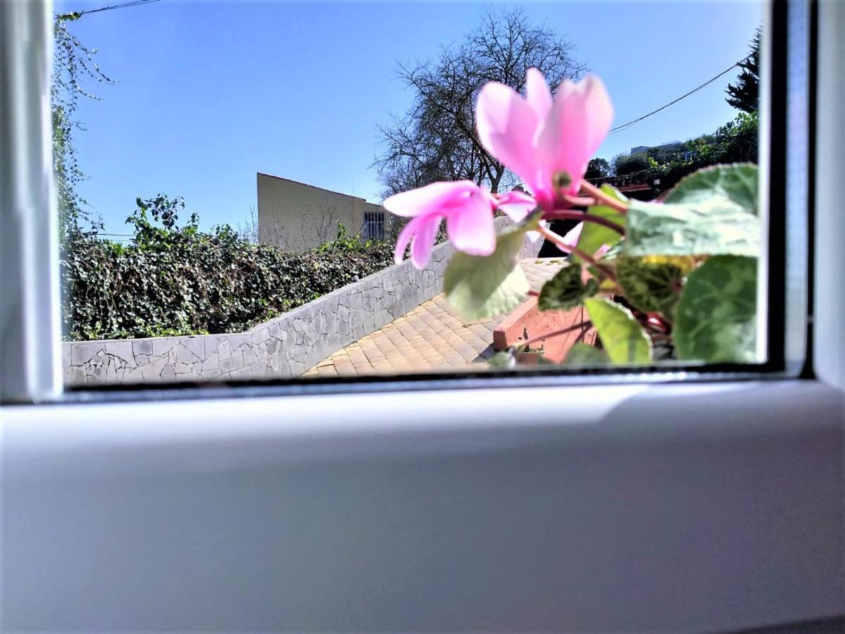 Bella Vista Los Penones Villa