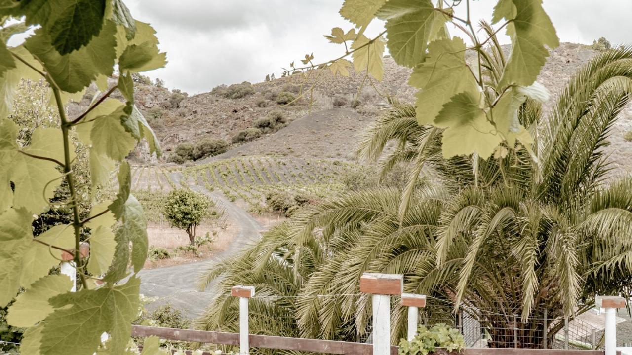Casa Los Lirios Country house *