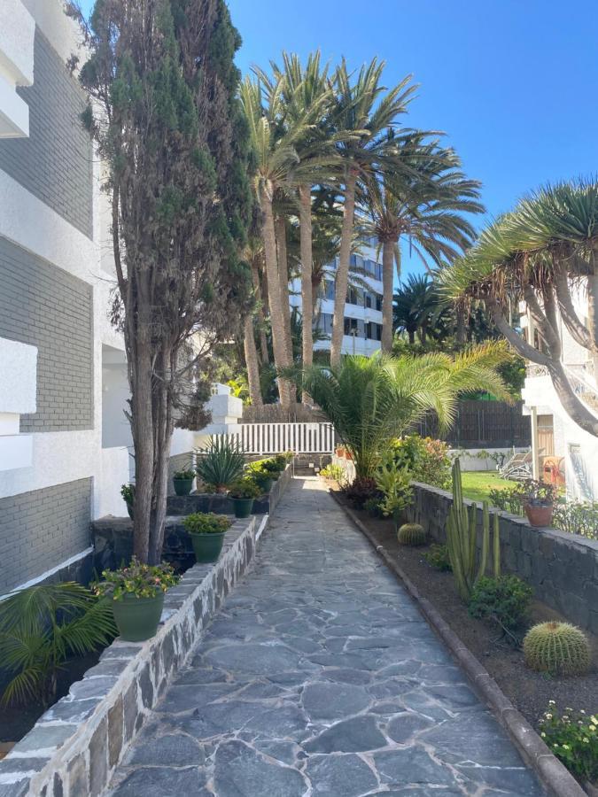 Apartamento Oasis *