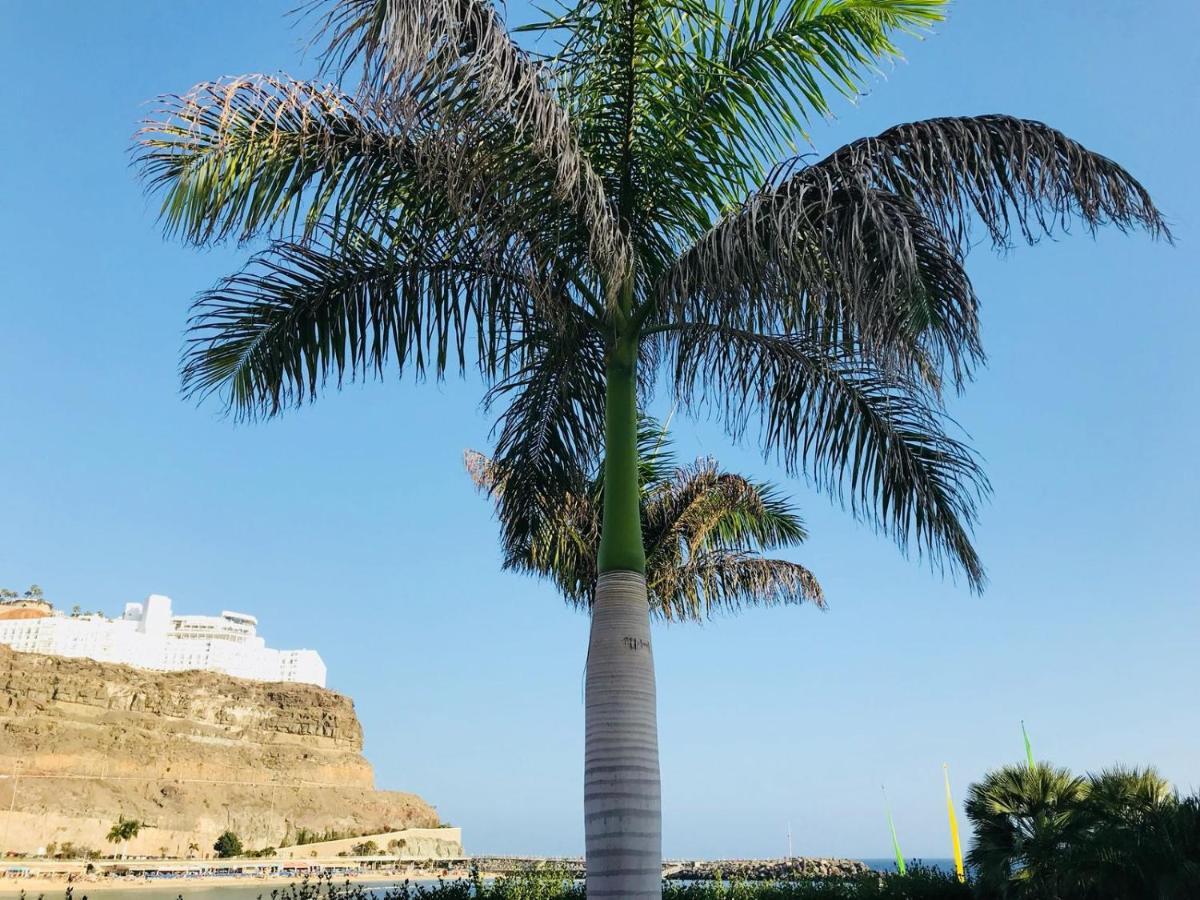 The Pearl Of The Ocean Puerto Rico (Gran Canaria)