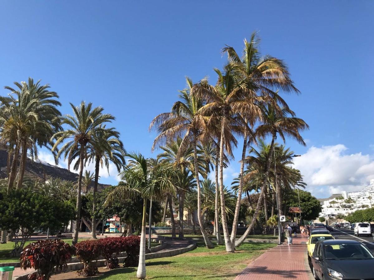The Pearl Of The Ocean Puerto Rico (Gran Canaria)