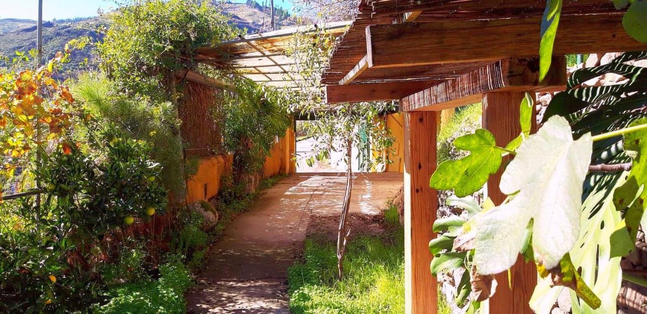 Chalet El Manantial Vega de San Mateo
