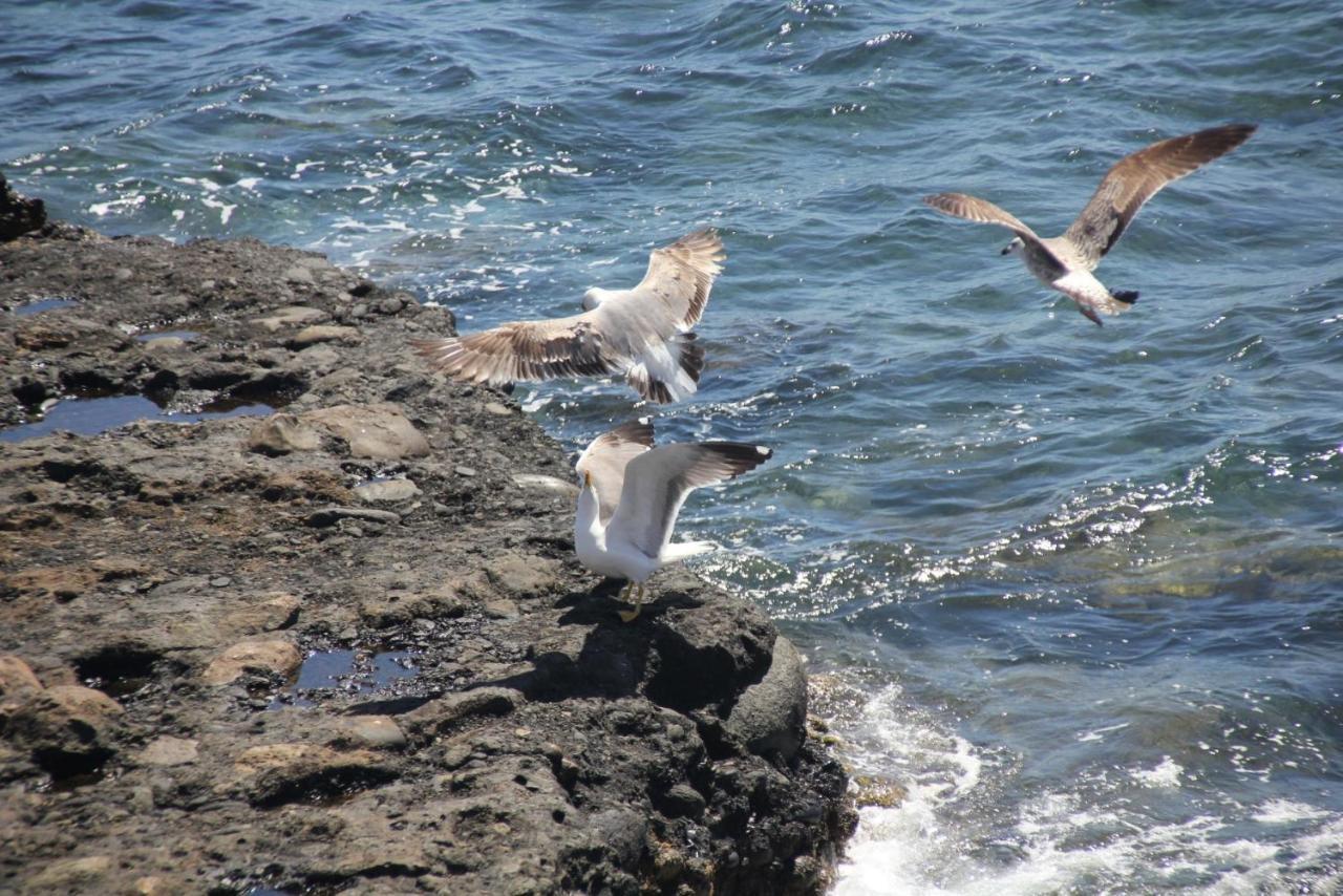 Bed & Breakfast Pozo Gaviota *