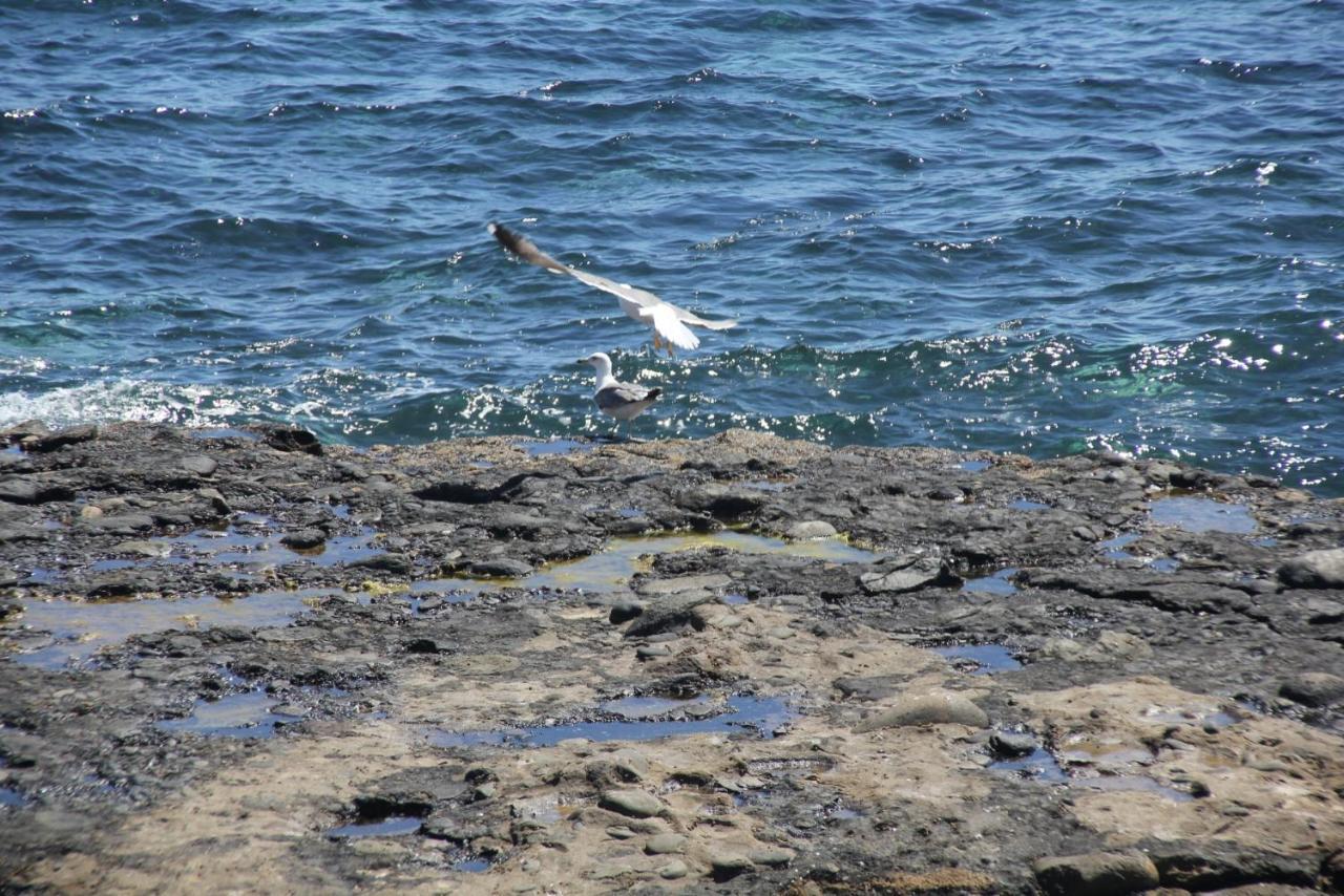 Pozo Gaviota