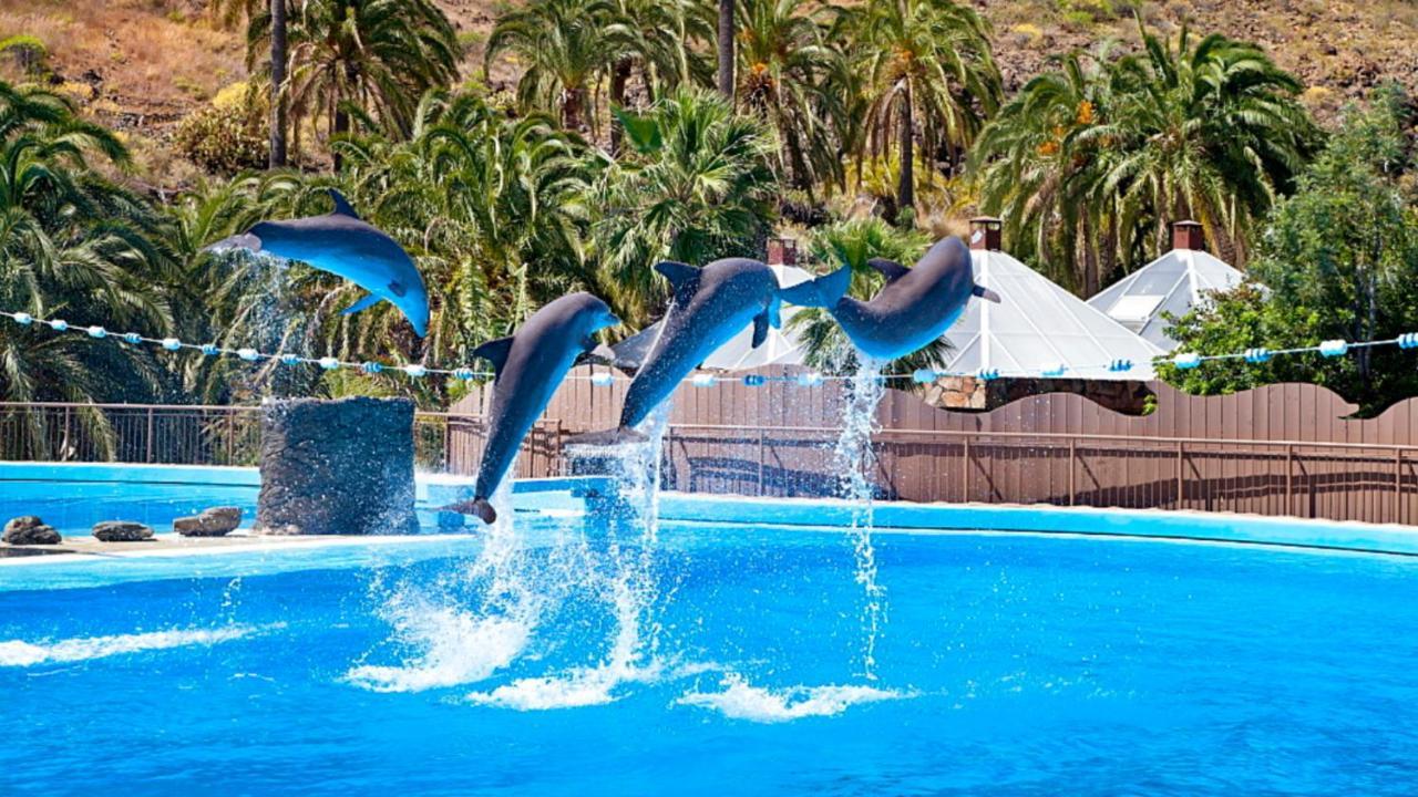 El Nido De Los Angeles Appartamento *