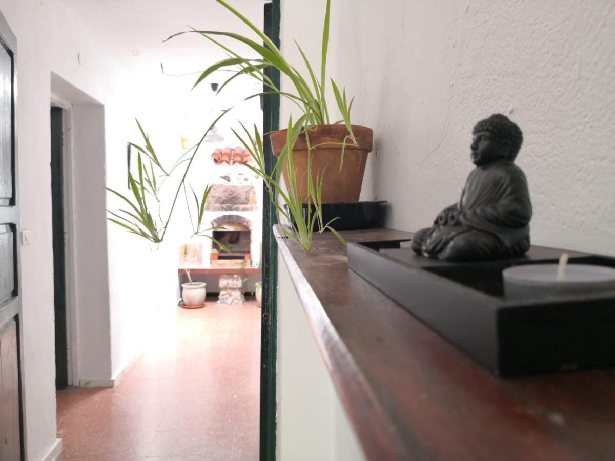 Rural Home, Finca Ecocielo *
