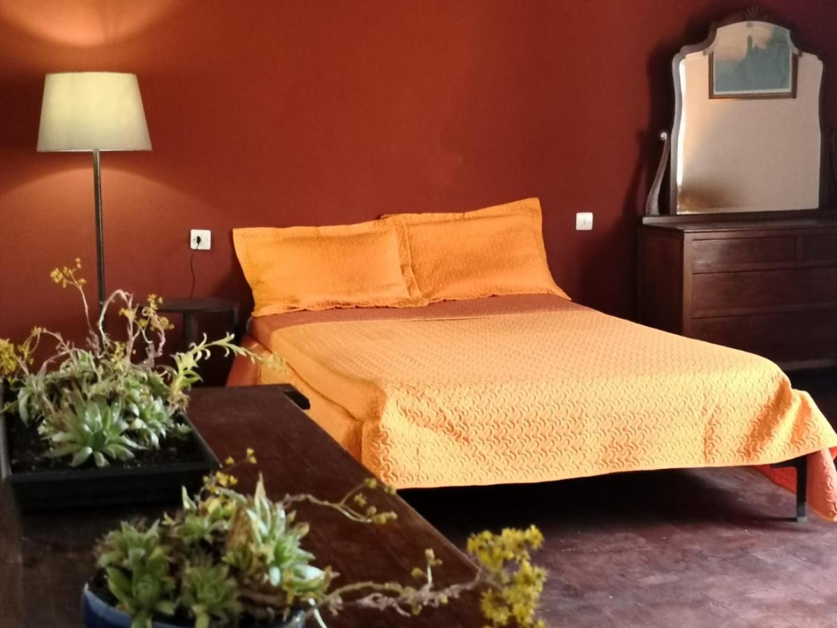Rural Home, Finca Ecocielo *