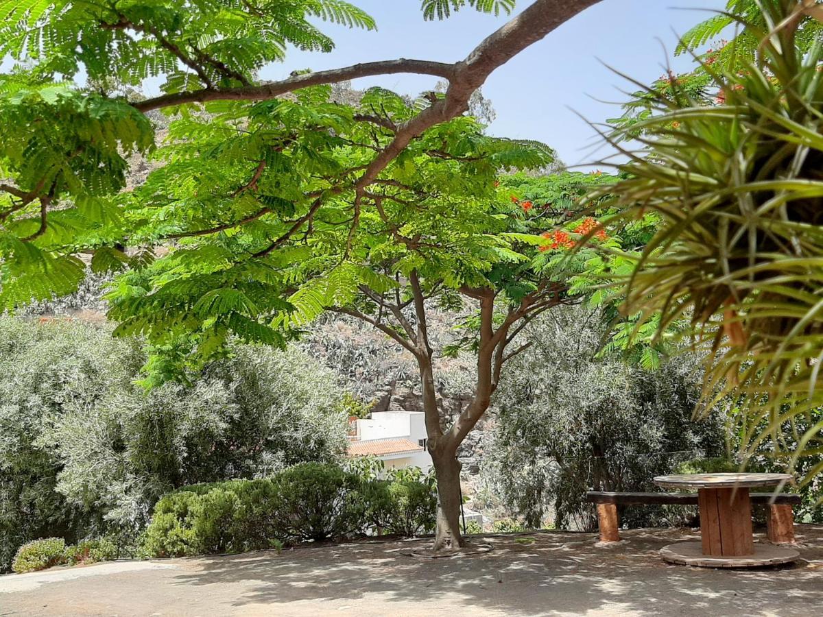 Peaceful House Set On A Vineyard & Work Friendly * Valsequillo de Gran Canaria