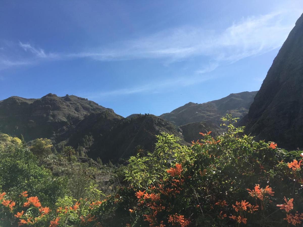 Apartamento Casa Del Sol GRAN CANARIA