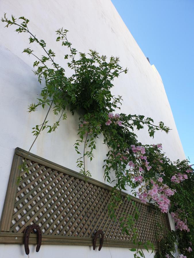Lala's House Holiday home *