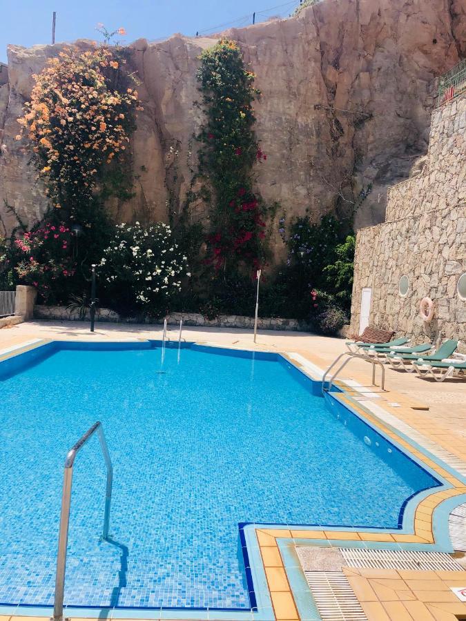 Appartamento Su Eminencia - Sea View With Modern Comforts
