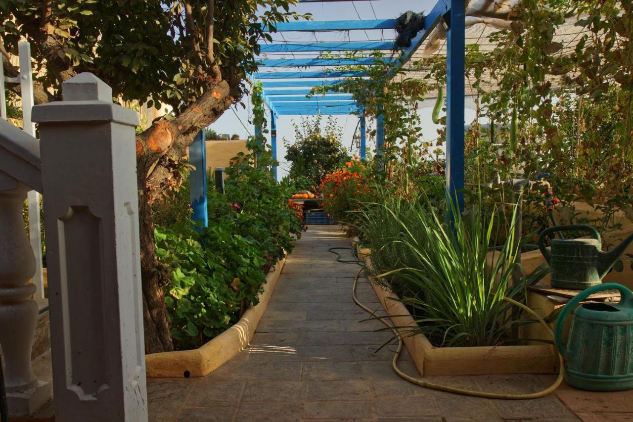 Apartment Cortez San Bartolome de Tirajana (Gran Canaria)