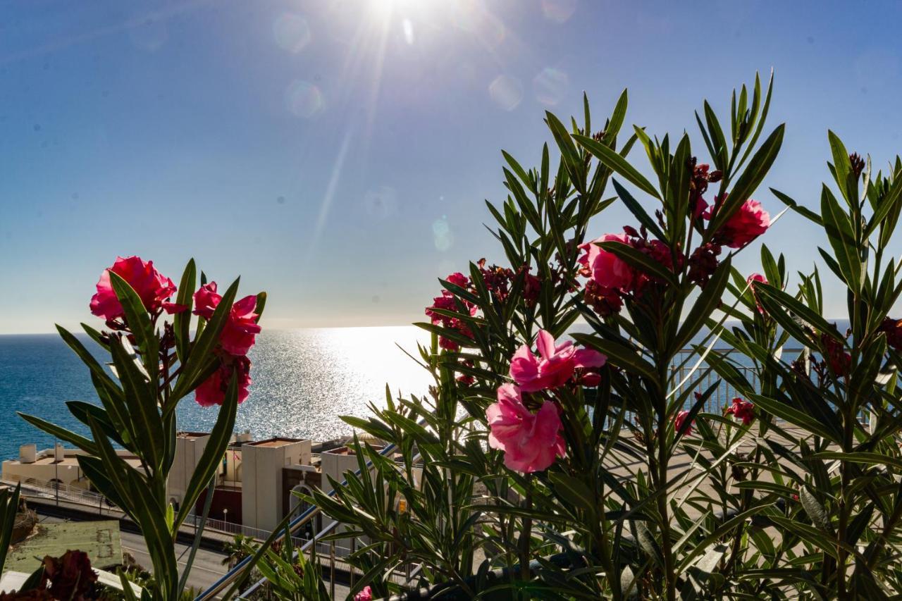 Panorama Canaria