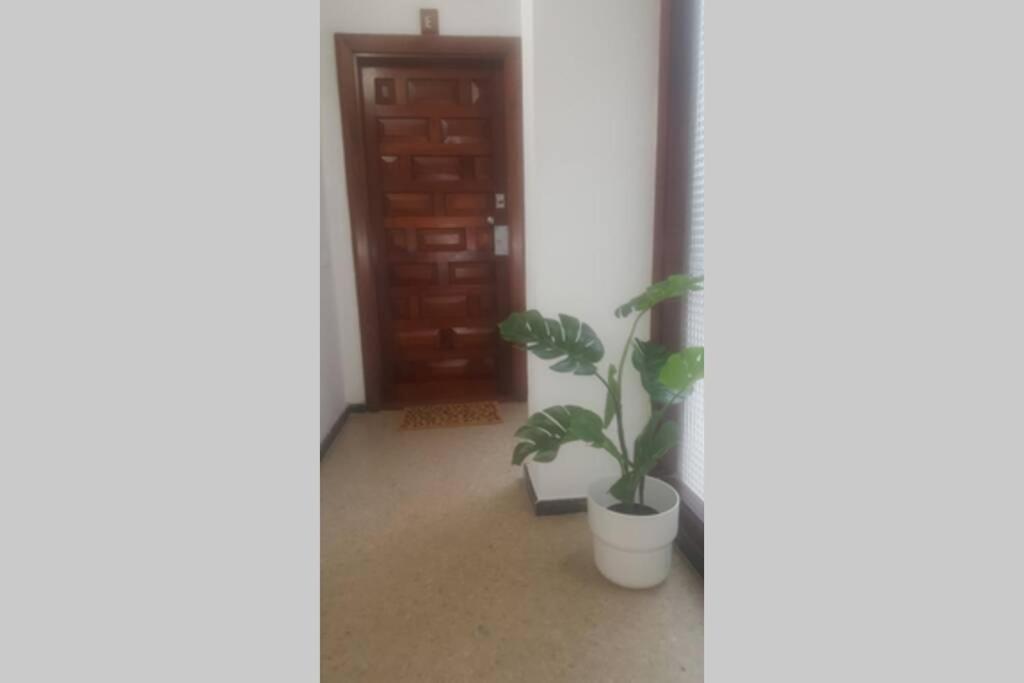 Apartamento Victoria 51.
